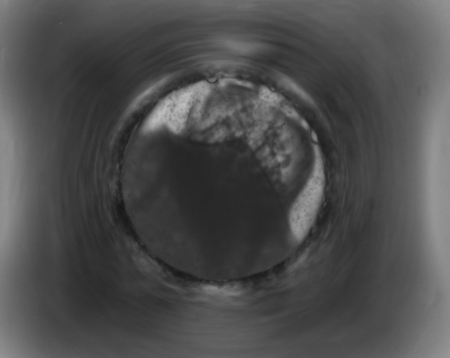 X0000085320775200703302044