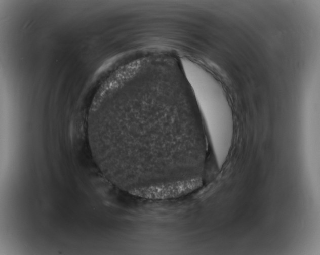 X0000085320776200703302044