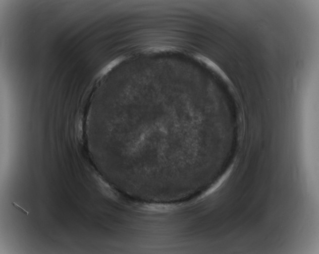 X0000085320777200703302044