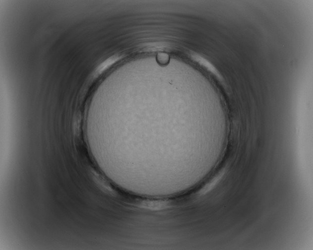 X0000085320778200703302044