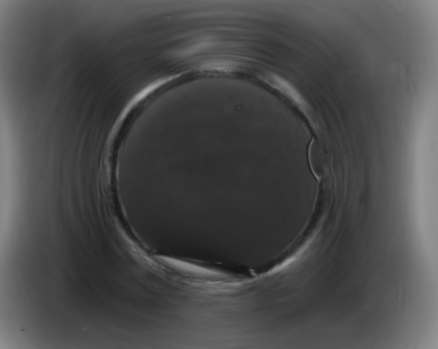 X0000085320779200703302044