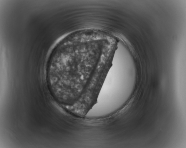 X0000085320780200703302043