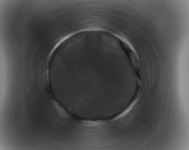 X0000085320781200703302043