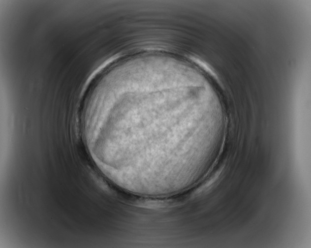 X0000085320782200703302043