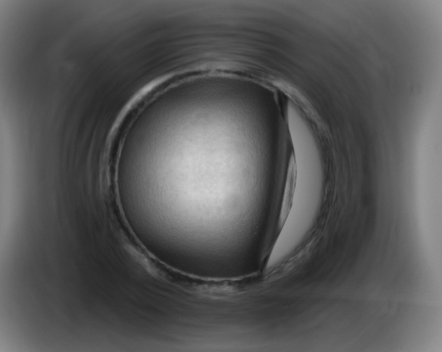 X0000085320784200703302043