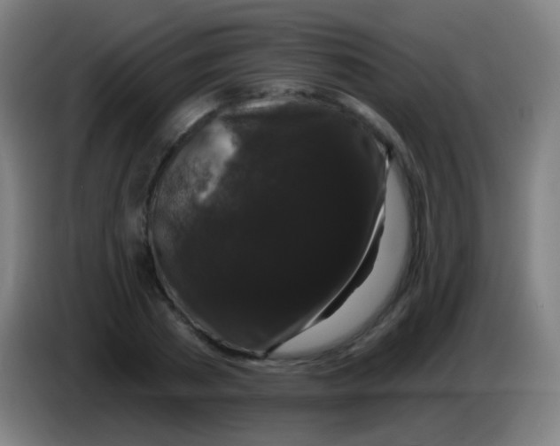 X0000085320785200703302043