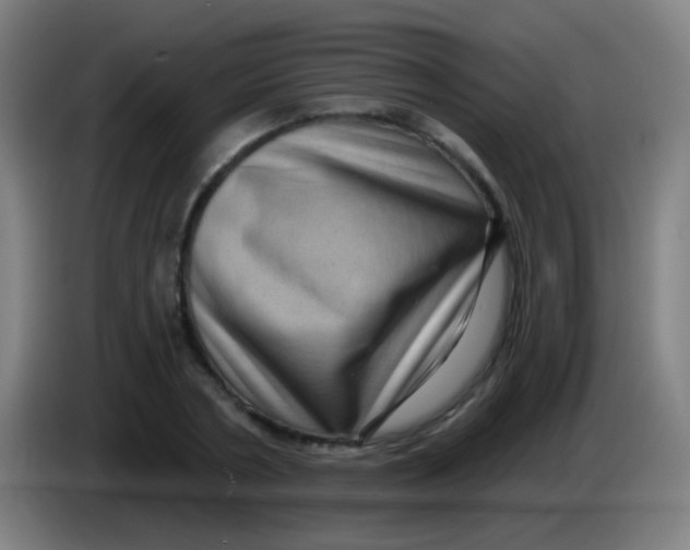 X0000085320786200703302043