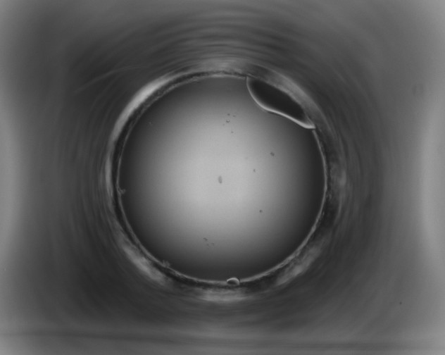 X0000085320788200703302043