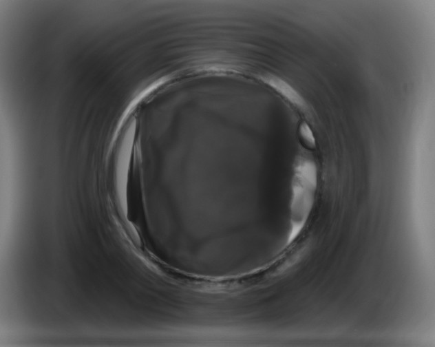 X0000085320790200703302043