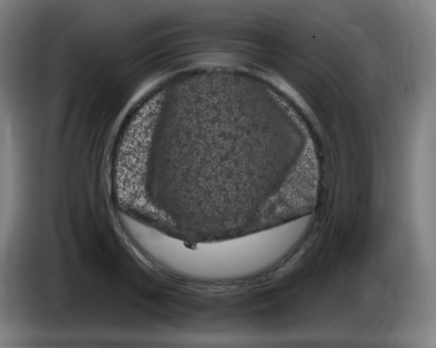 X0000085320791200703302043