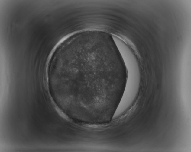 X0000085320792200703302043