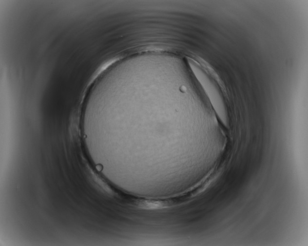 X0000085320794200703302043