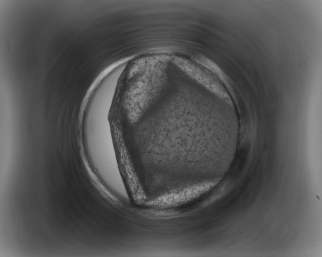 X0000085320795200703302043