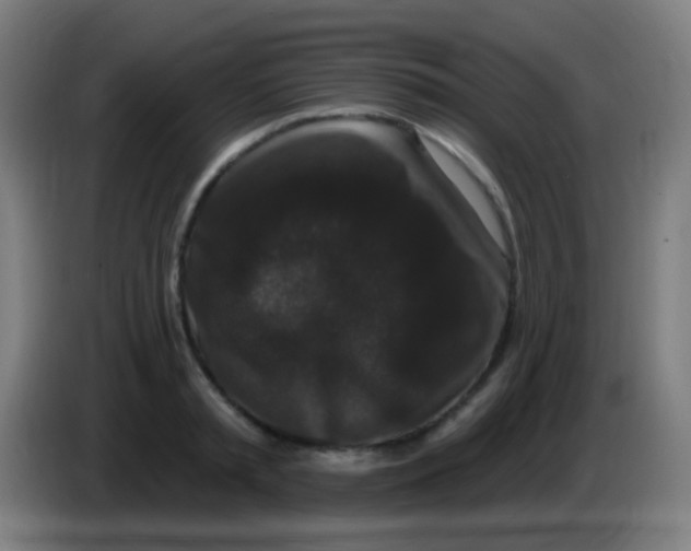 X0000085320797200703302043