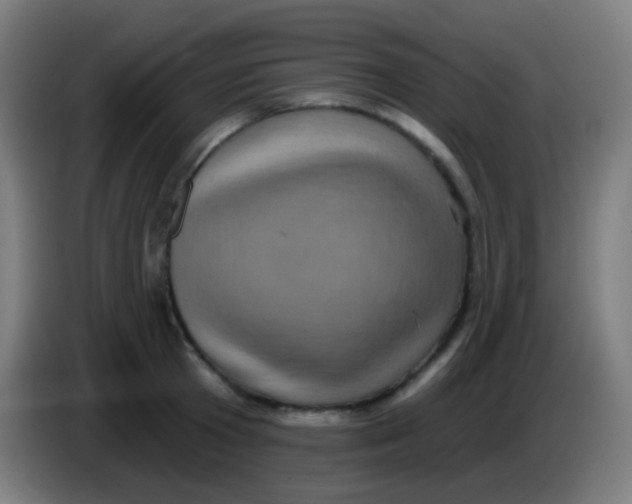 X0000085320801200703302043