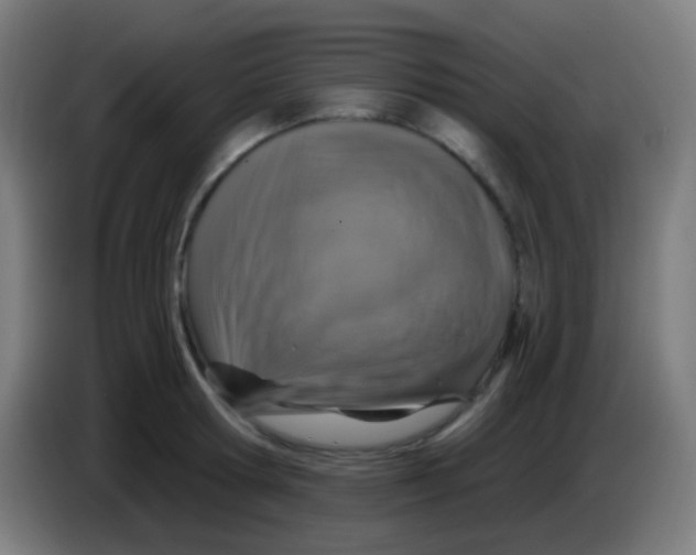 X0000085320802200703302043