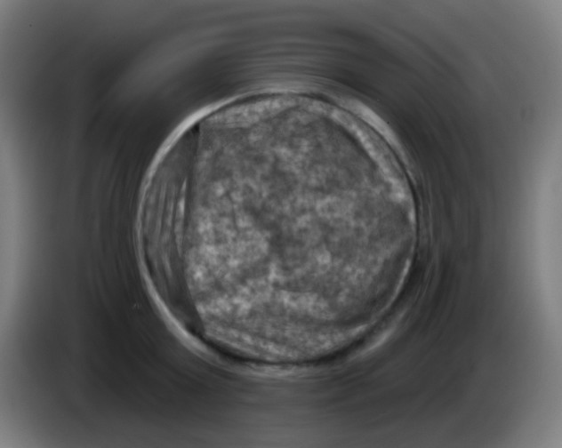 X0000085320803200703302043