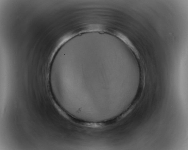 X0000085320805200703302043