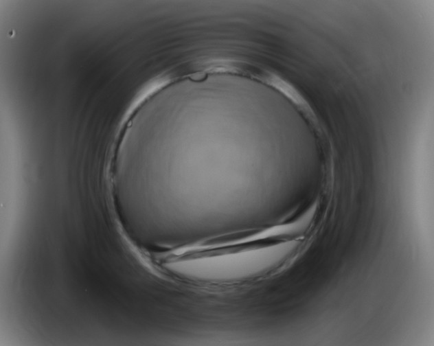 X0000085320806200703302043