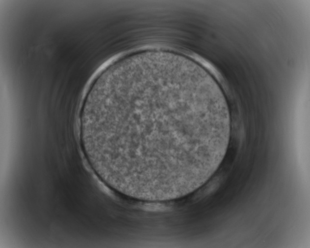 X0000085320807200703302043