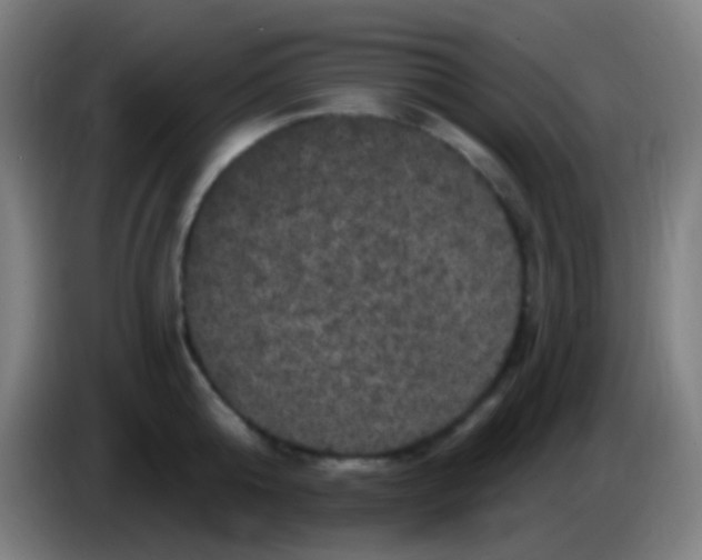 X0000085320808200703302043