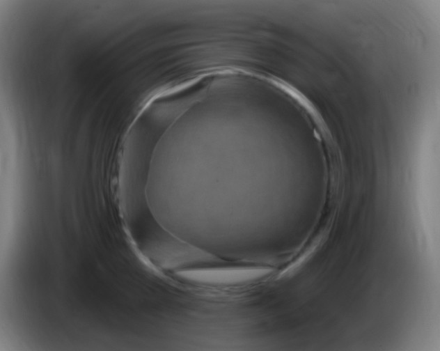 X0000085320809200703302043