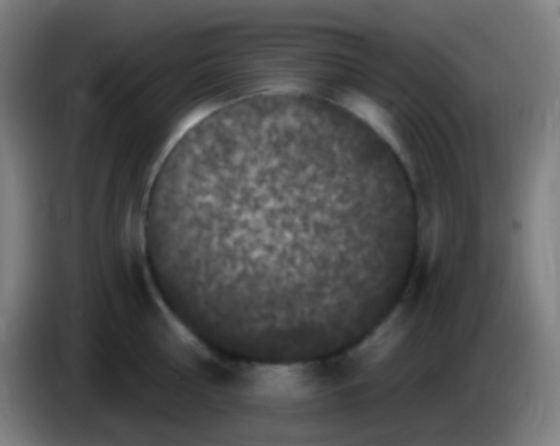 X0000085320810200703302043