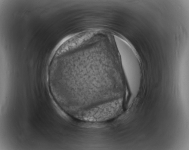 X0000085320811200703302043