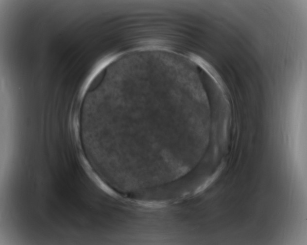 X0000085320812200703302043