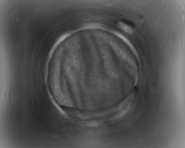 X0000085320815200703302043