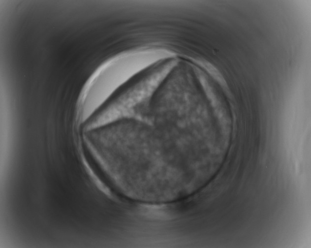 X0000085320816200703302043