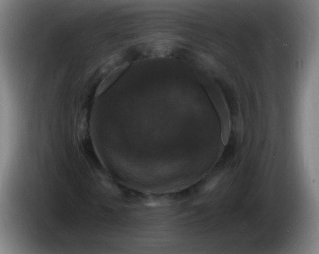 X0000085320818200703302042