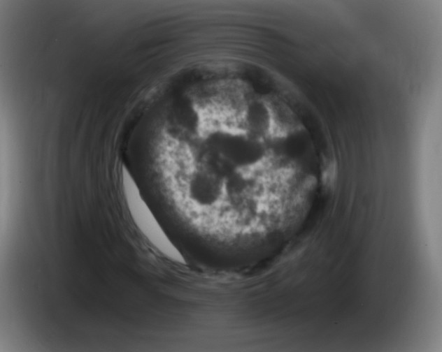 X0000085320819200703302042