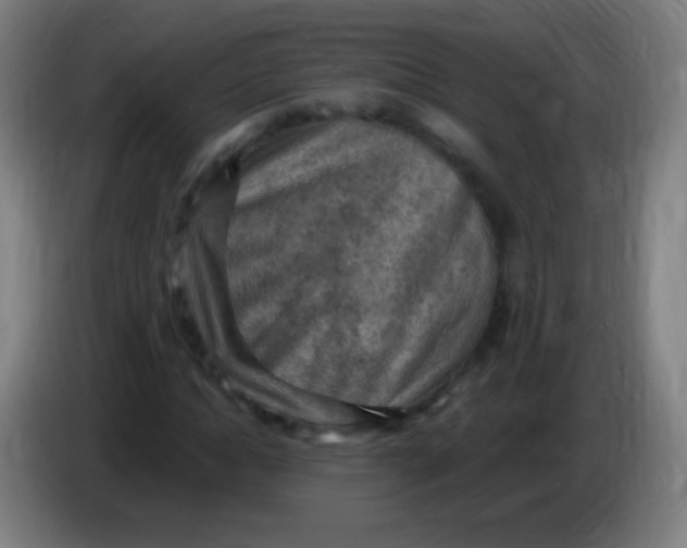 X0000085320822200703302042