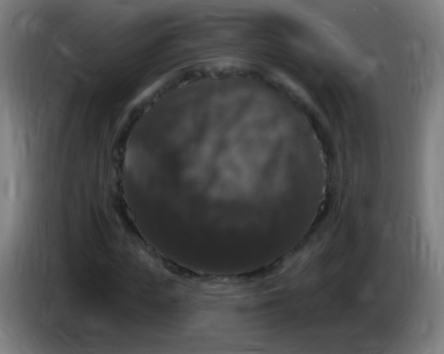 X0000085320823200703302042