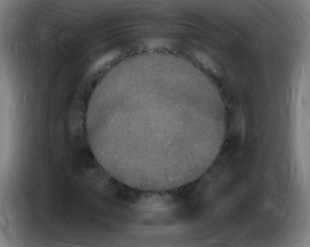 X0000085320824200703302042