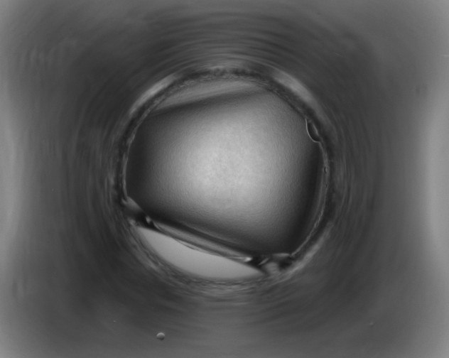 X0000085320826200703302042