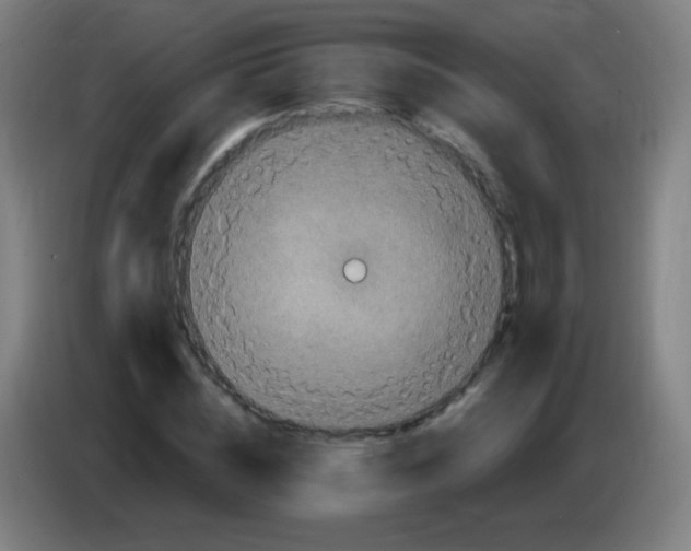 X0000085320828200703302042