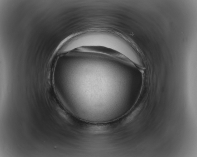 X0000085320830200703302043