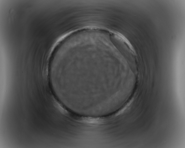 X0000085320831200703302043