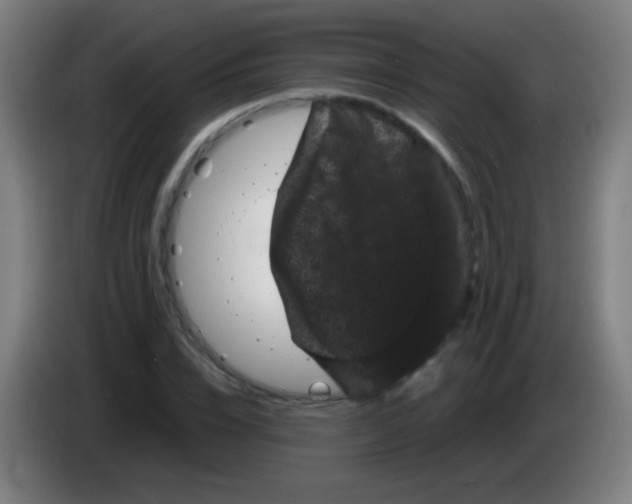 X0000085320832200703302043