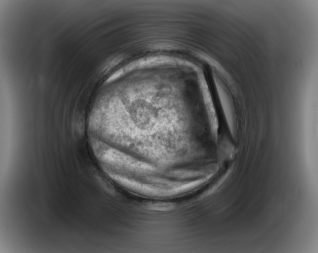 X0000085320833200703302043