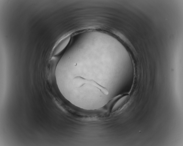 X0000085320834200703302043