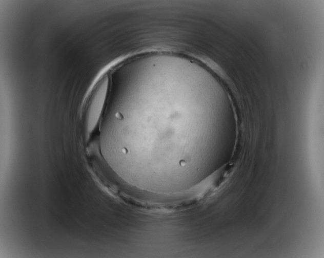 X0000085320838200703302043