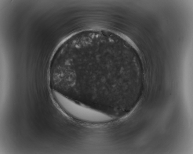 X0000085320839200703302043