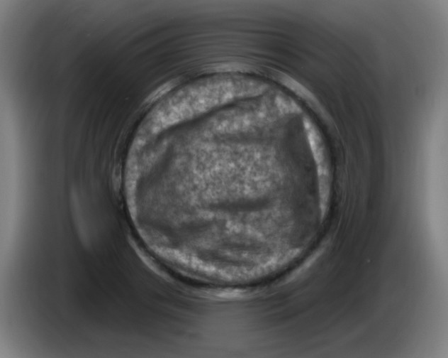 X0000085320841200703302043