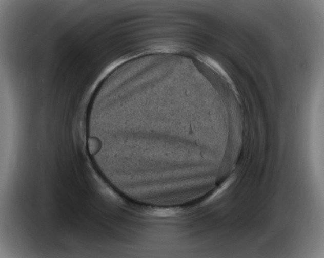 X0000085320843200703302043