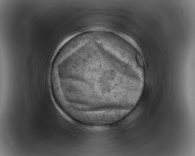 X0000085320847200703302043