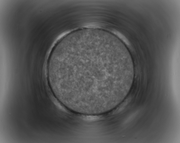 X0000085320848200703302043