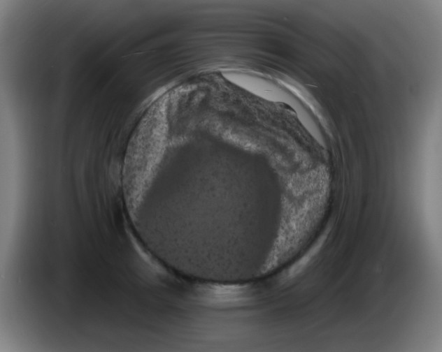 X0000085320849200703302043